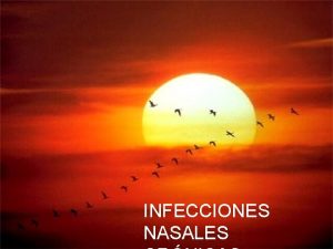 Infecciones nasales cronicas INFECCIONES NASALES RINITIS ATRFICA Es