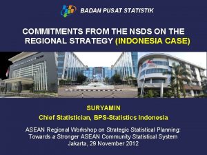 BADAN PUSAT STATISTIK COMMITMENTS FROM THE NSDS ON