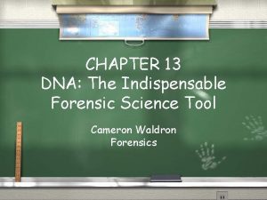 CHAPTER 13 DNA The Indispensable Forensic Science Tool