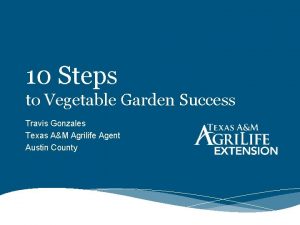 10 Steps to Vegetable Garden Success Travis Gonzales