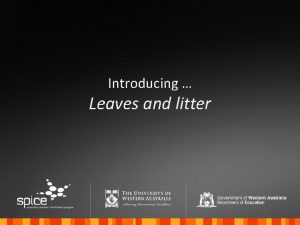 Introducing Leaves and litter Two types of litter