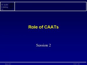 IT audit training for Role of CAATs Session