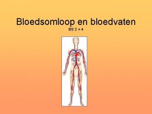 Bloedsomloop en bloedvaten BS 2 4 Feitjes In