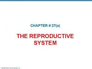 CHAPTER 27a THE REPRODUCTIVE SYSTEM Copyright 2010 Pearson