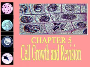 Stomach lining cells 2 days Platelets 10 days