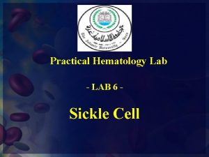 Practical Hematology Lab LAB 6 Sickle Cell What