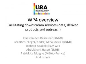 WP 4 overview Facilitating downstream services data derived