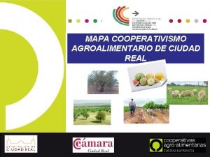 MAPA COOPERATIVISMO AGROALIMENTARIO DE CIUDAD REAL Mapa cooperativo