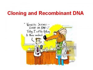 Cloning and Recombinant DNA Clones Genetically identical organisms