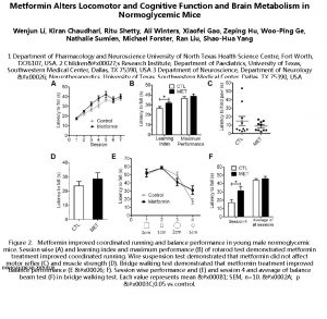 Metformin Alters Locomotor and Cognitive Function and Brain