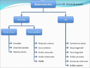 Bacteriemia Zero Difusin del proyecto Los Responsables del