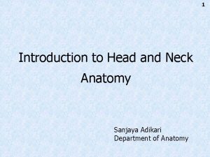 1 Introduction to Head and Neck Anatomy Sanjaya