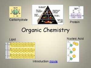 Carbohydrate Protein Organic Chemistry Nucleic Acid Lipid Introduction