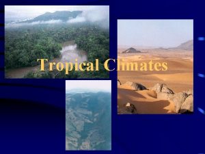 Tropical Climates Koeppens Climate Classification Tropical Horticulture Texas