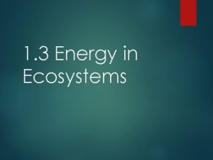 1 3 Energy in Ecosystems https youtu beE