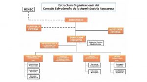 Mujeres 2 Hombres DIRECTORIO Competencia Es la mxima