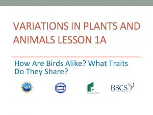 VARIATIONS IN PLANTS AND ANIMALS LESSON 1 A