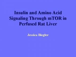 Insulin and Amino Acid Signaling Through m TOR