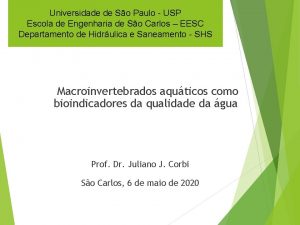 Universidade de So Paulo USP Escola de Engenharia