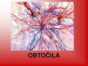 OBTOILA 1 OBTOILA Obtoila so transportni sistem telesa