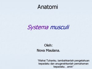 Anatomi Systema musculi Oleh Nova Maulana Wahai Tuhanku