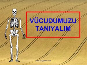 VCUDUMUZU TANIYALIM www slaytyerim com VCUDUMUZUN BLMLER 1