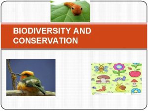 BIODIVERSITY AND CONSERVATION BIODIVERSITY AND CONSERVATION Biodiversity the