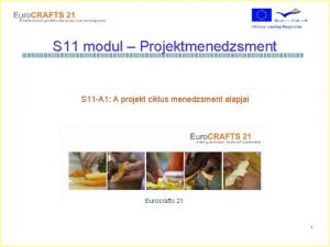 S 11 modul Projektmenedzsment S 11 A 1