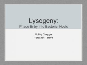 Lysogeny Phage Entry into Bacterial Hosts Bobby Chaggar