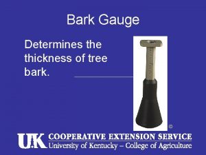 Bark Gauge Determines the thickness of tree bark