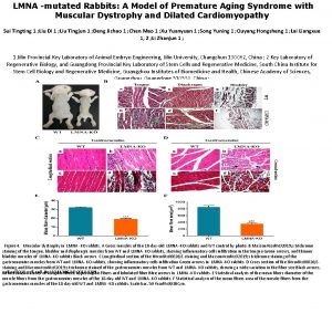 LMNA mutated Rabbits A Model of Premature Aging