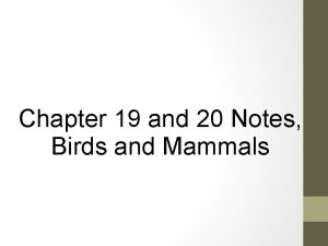 Chapter 19 and 20 Notes Birds and Mammals