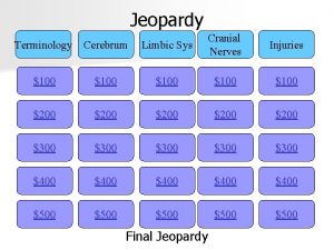 Jeopardy Terminology Cerebrum Limbic Sys Cranial Nerves Injuries