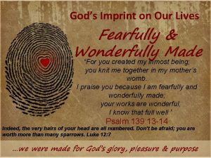 Gods Imprint on Our Lives Fearfully Wonderfully Made