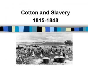 Cotton and Slavery 1815 1848 The Cotton Gin