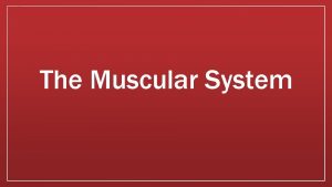 The Muscular System Functions of the muscular system