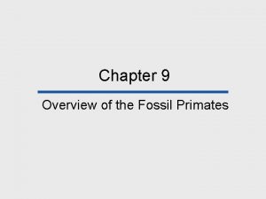 Chapter 9 Overview of the Fossil Primates Chapter