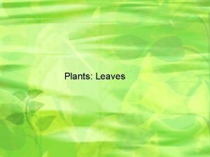Plants Leaves Leaves Play role in photosynthesis gas