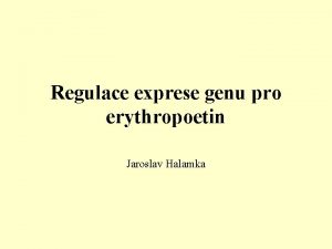 Regulace exprese genu pro erythropoetin Jaroslav Halamka Erythropoetin