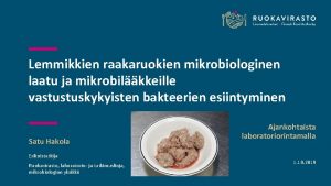 Lemmikkien raakaruokien mikrobiologinen laatu ja mikrobilkkeille vastustuskykyisten bakteerien
