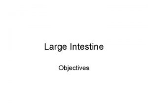 Large Intestine Objectives Large Intestine Colon is 90