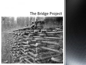 The Bridge Project Arc Beam CableStayed Cantilever Suspension