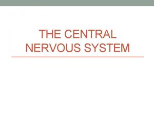 THE CENTRAL NERVOUS SYSTEM Central Nervous System Made
