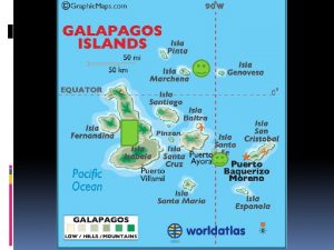 Isla san Cristobal Galapagos sea lions giant tortoises