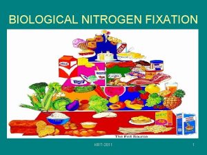 BIOLOGICAL NITROGEN FIXATION KRT2011 1 Beberapa tumbuhan dapat