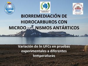 BIORREMEDIACIN DE HIDROCARBUROS CON MICROORGANISMOS ANTRTICOS Variacin de