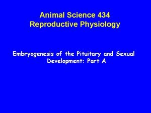 Animal Science 434 Reproductive Physiology Embryogenesis of the