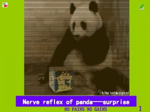 Nerve reflex of pandasurprise NO PAINS NO GAINS
