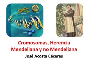 Cromosomas Herencia Mendeliana y no Mendeliana Jos Acosta