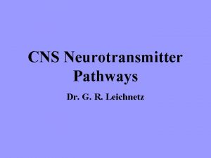CNS Neurotransmitter Pathways Dr G R Leichnetz CNS